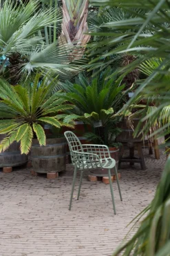 Albert Kuip Garden (set van 2) Eetkamerstoel