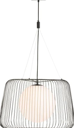Ally Hanglamp
