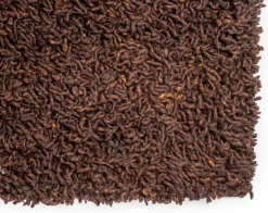 Berbero Lungo Vloerkleed