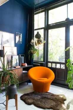 Big Mushroom Fauteuil