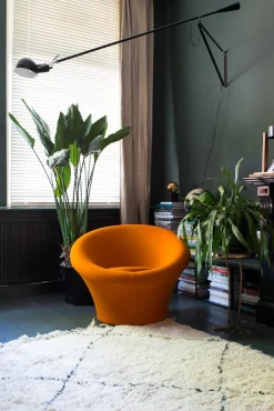 Big Mushroom Fauteuil