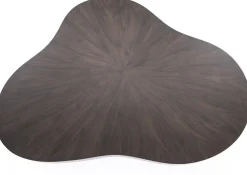 Bobbie Salontafel