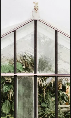 Botanical Stories Wanddecoratie