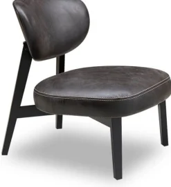 Buddy Fauteuil