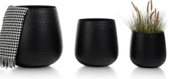 Coins Potten
