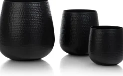 Coins Potten