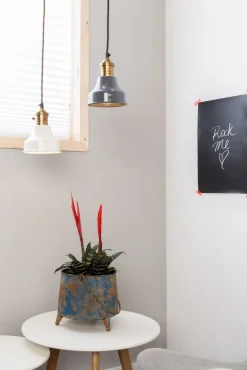 Cole Hanglamp