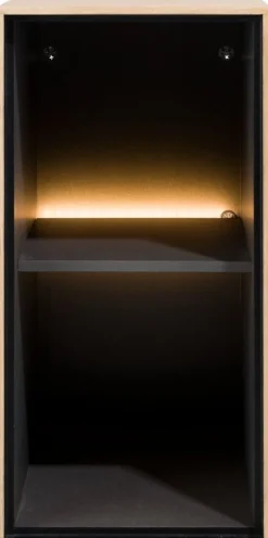 Elements 2 Niches Kast