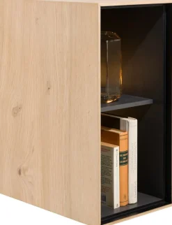 Elements 2 Niches Kast