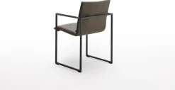 Frame Friendly Eetkamerstoel