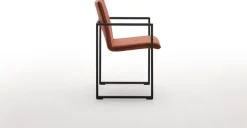Frame Friendly Eetkamerstoel