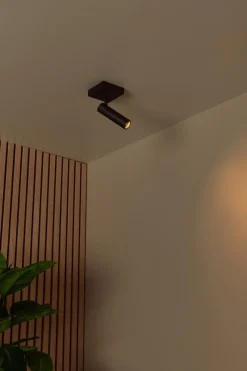 Grado Zwart Plafondspot
