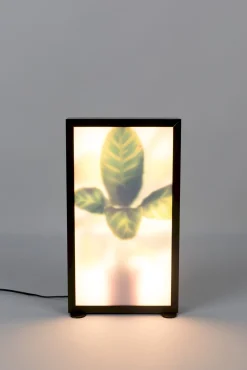 Grow M Vloerlamp