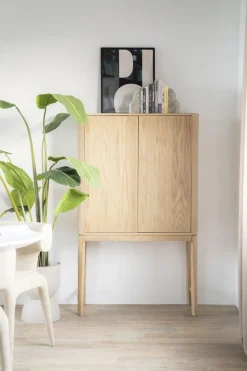 Harvey Kabinet