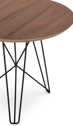 Ijhorst Bijzettafel