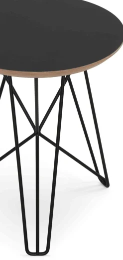 Ijhorst Bijzettafel