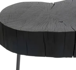 Jonas Bijzettafel