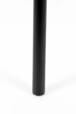 Jort (set van 2) Eetkamerstoel
