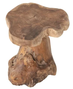Mushroom Bijzettafel