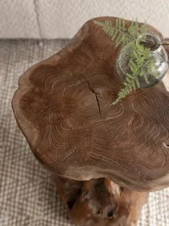Mushroom Bijzettafel