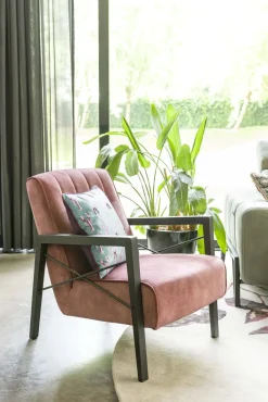 Northon Fauteuil