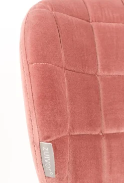 OMG velvet (set van 2) Eetkamerstoel