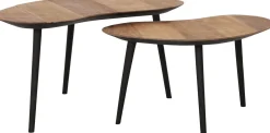 Organus Salontafelset