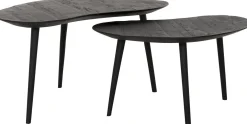Organus Salontafelset