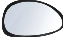 Plecto Spiegel