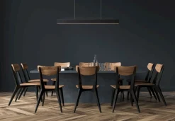 Raya Zwart Hanglamp