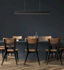Raya Zwart Hanglamp