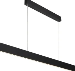 Raya Zwart Hanglamp