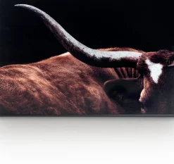 Rodeo Schilderij