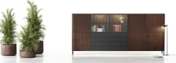 Ron Dressoir