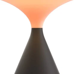 Salt Tafellamp