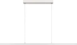 Sigma Wit Hanglamp