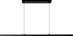 Sigma Zwart Hanglamp