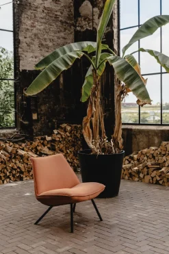 Sunny Fauteuil