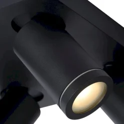 Taylor Plafondlamp