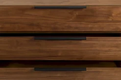 Travis Dressoir