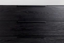 Travis Dressoir