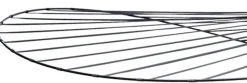 Vertigo M Hanglamp